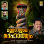 Mannarasala Mahatmyam - Single