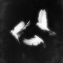 Wait to Shine (Explicit)