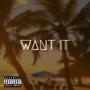 Want It (Explicit)