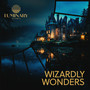 Wizardly Wonders