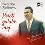 Poleti golube moj (Live)