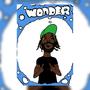 Wonder (Explicit)