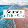 Sounds of the Sea - Seashore Waves, Crashing Ocean Wave Sound for Relaxation