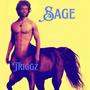 Sage (Explicit)