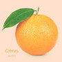 Citrus