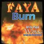 Faya Burn