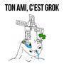 Ton Ami, C'est Grok