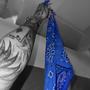 Blue Bandana (Explicit)
