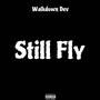 Still Fly (Explicit)