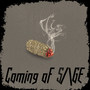 Coming of SAGE (Explicit)