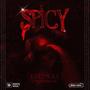 SPICY (feat. Frxctal) [Explicit]