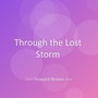 Through the Lost Storm