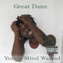 Young Mind Wasted (Explicit)