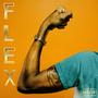 Flex (Explicit)