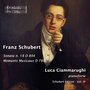 Schubert: Piano Sonata No. 18, D. 894 & Moments musicaux, D. 780