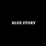 BLUE STORY