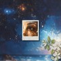 Sparklers (Explicit)