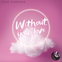 Without your love