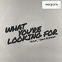 What You're Looking For