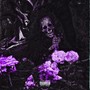 Rdy 2 Die (Slowed + Reverb) [Explicit]