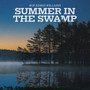 Summer in the Swamp