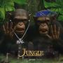 Jungle (feat. Wicced) [Explicit]