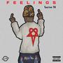 FEELINGS (Explicit)