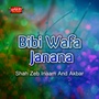 Bibi Wafa Janana