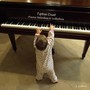 Tiptoe Duet: Piano Melodies & Lullabies