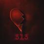 313 (Explicit)