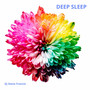 Deep Sleep