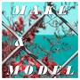 Make & Model (Explicit)