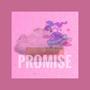 Promise