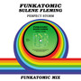 Perfect Storm (Funkatomic Mix)
