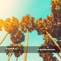 Sunshine