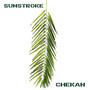 Sunstroke