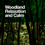 Woodland Relaxation and Calm