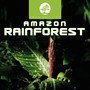 Amazon Rainforest