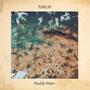 Muddy water