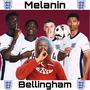 Bellingham / Melanin