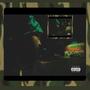 Camouflage (Explicit)