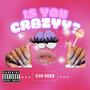 Is You Crazyy? (Explicit)