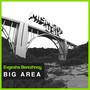 Big Area