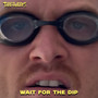 Wait for the Dip