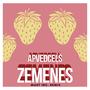 Zemenes (Mart Inc. Remix)