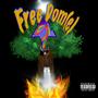 FreeDome Wave 1 (Explicit)