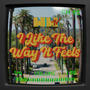 I Like The Way It Feels (feat. Valentine Ephemeris) [Explicit]