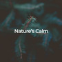 Nature's Calm: Deep Sleep Sounds