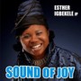 Sound of Joy