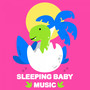 Sleeping Baby Soothing Music